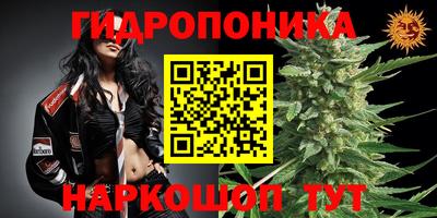 стафф Обь